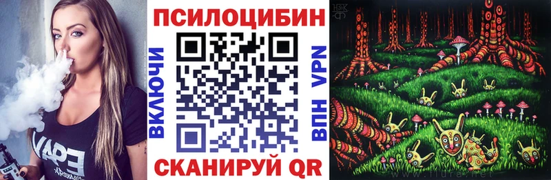 купить наркотики сайты  omg онион  Псилоцибиновые грибы Magic Shrooms  Сельцо 